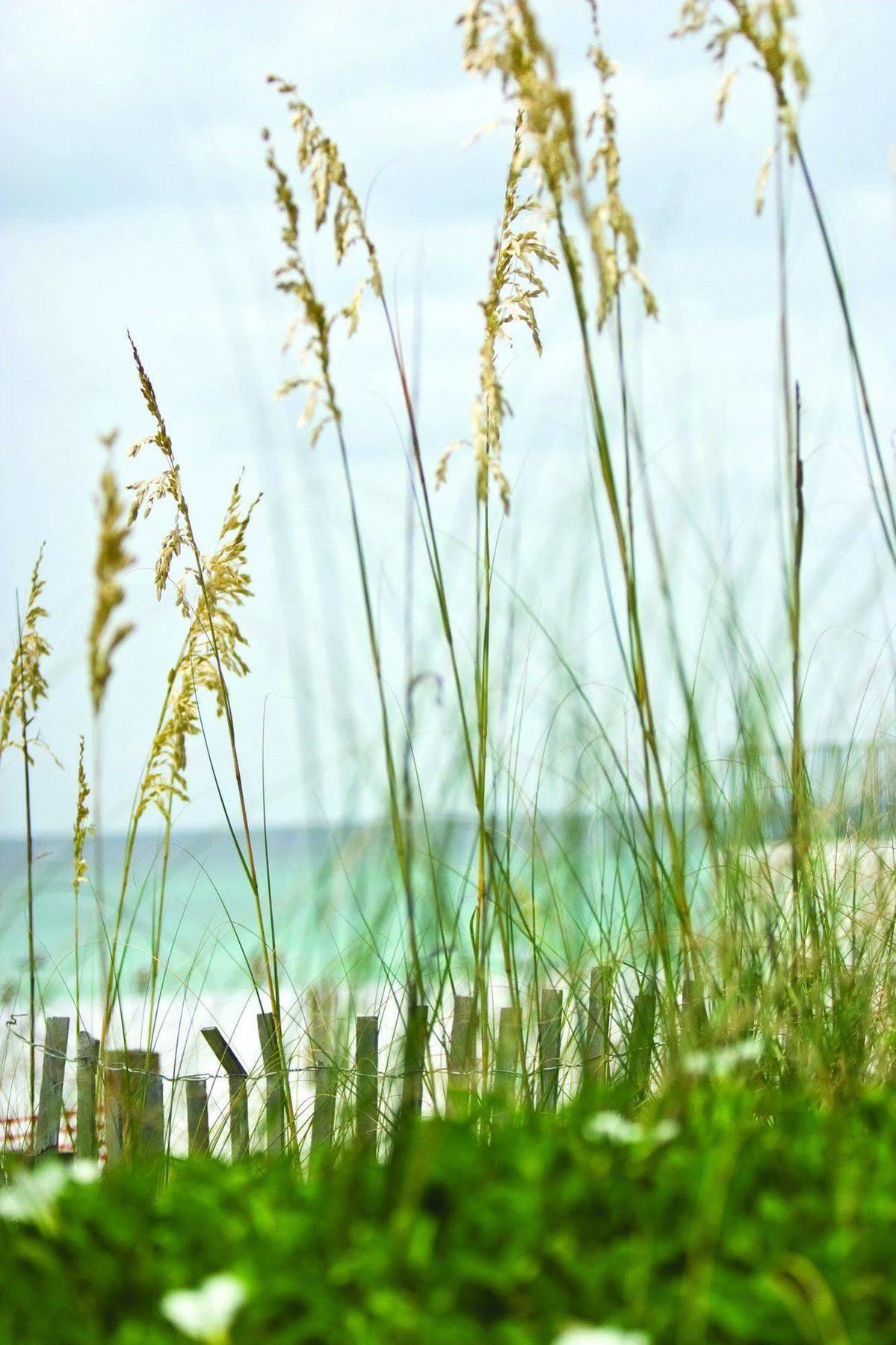 Club Wyndham Beach Street Cottages มิรามาร์บีช ภายนอก รูปภาพ
